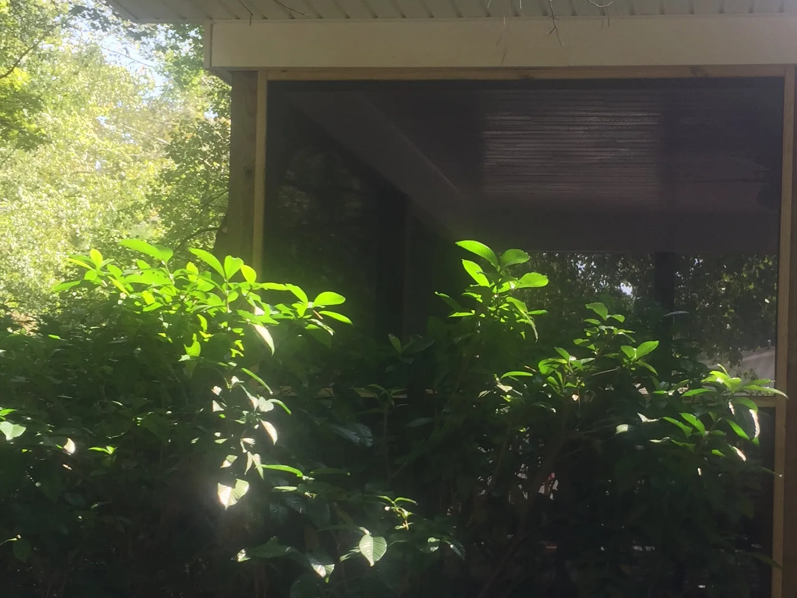 Exterior view of a screened porch enclosure