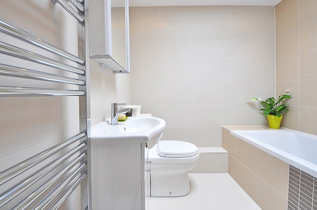 Top Tips for a Small Bathroom Remodel in Wilmington NC 2024